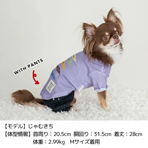 ティノティート TINOTITO イラストTシャツ【小型犬 犬服 トップス タンクトップ カジュアル】