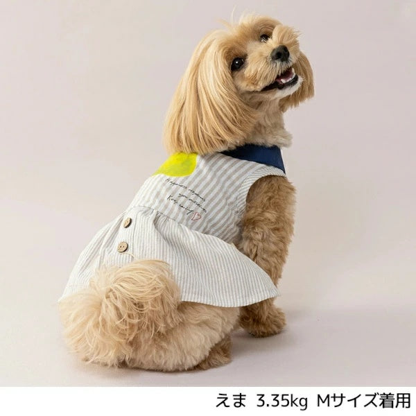 ティノティート TINOTITO 丸襟ストライプワンピ【小型犬 犬服 トップス タンクトップ カジュアル】