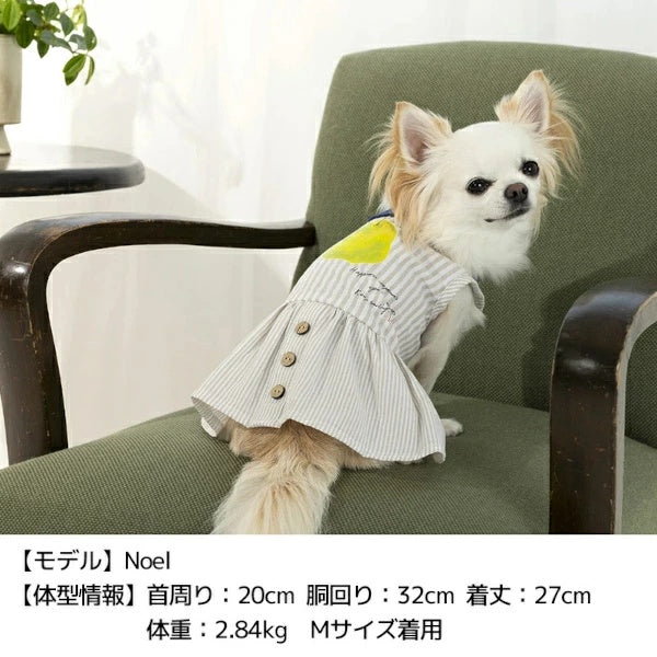 ティノティート TINOTITO 丸襟ストライプワンピ【小型犬 犬服 トップス タンクトップ カジュアル】