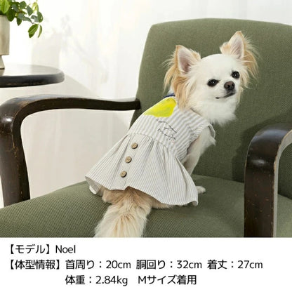 ティノティート TINOTITO 丸襟ストライプワンピ【小型犬 犬服 トップス タンクトップ カジュアル】