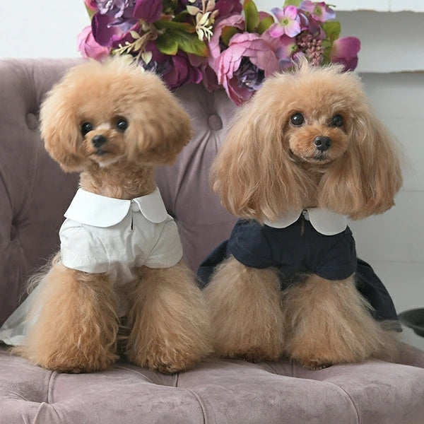 ワンオクターヴ One Octave 襟付きスモッキングワンピース【小型犬 犬服 ウエア ワンピース ドレス セレブ】
