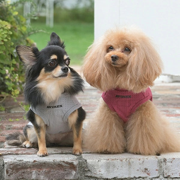 アヴィレックス AVIREX フェードウォッシュタンク【小型犬 犬服 トップス タンクトップ カジュアル】