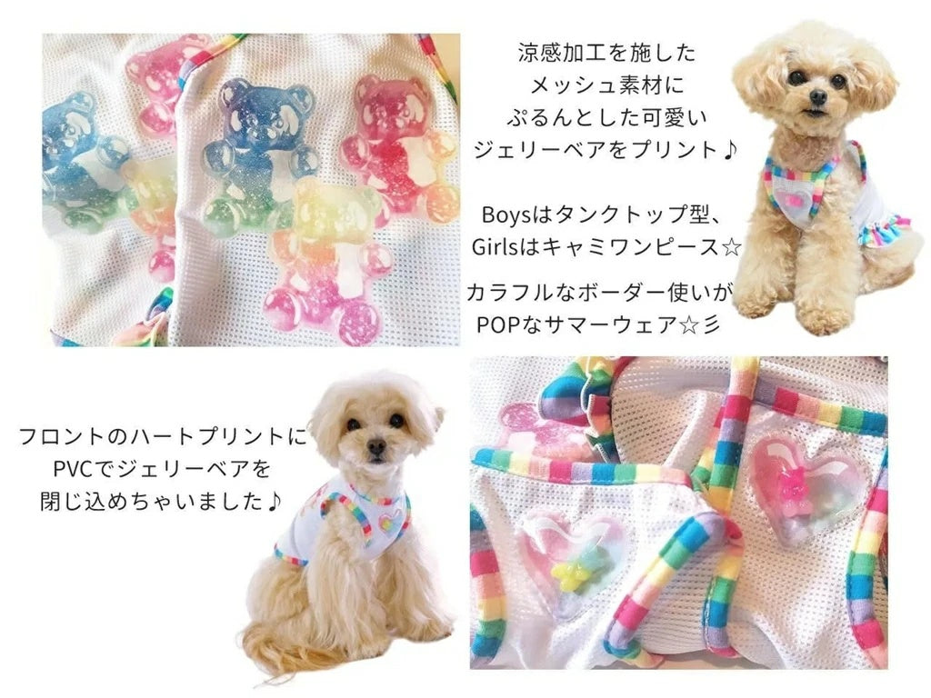 サーカスサーカス circus circus Jerry Bear(CCW-0282)【小型犬 犬服