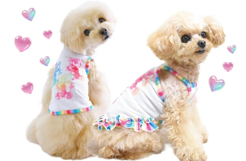 サーカスサーカス circus circus Jerry Bear(CCW-0282)【小型犬 犬服