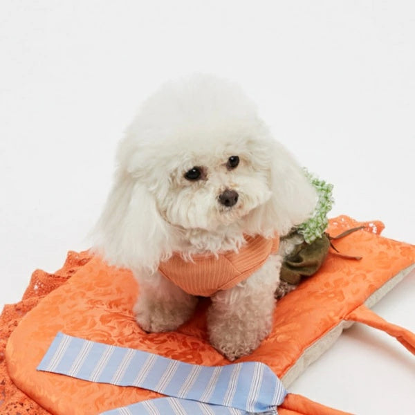 ルイスドッグ louisdog Citrus TOP【小型犬 犬服 トップス タンクトップ セレブ】
