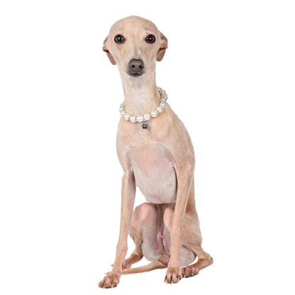 シャーロットドレス Charlotte's Dress Art. A127N collier Polly paw【犬用 アクセサリー ネックレス セレブ】