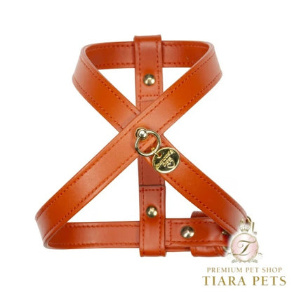 シャーロットドレス Charlotte's Dress Art.g1566NO harness Hermes(ゴールド仕様)【小型犬用 犬用 ハーネス セレブ】