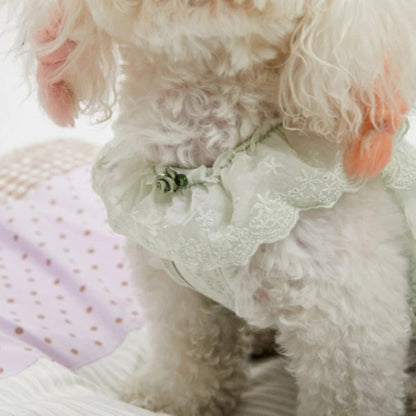 ルイスドッグ louisdog Sage Sleeveless【小型犬 犬用 犬服 トップス Tシャツ カットソー ノースリーブ セレブ】