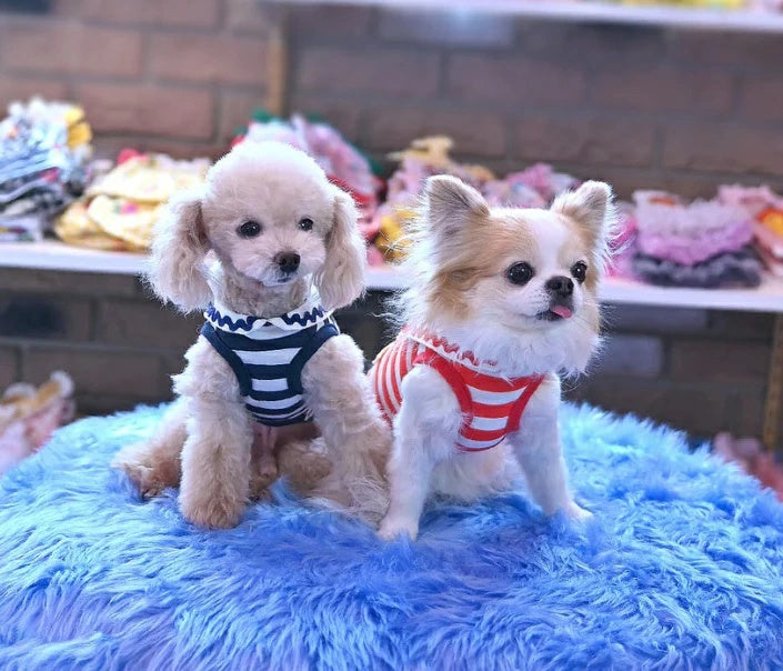 J&Kアニマルズ J&K animals☆予約受付中☆マリンTシャツ【犬服 トップス Tシャツ カットソー】