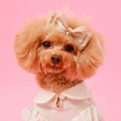 ゴッドピヴァ GODPIVA シルバーラインバレッタ【小型犬 犬用 ヘアアクセサリー バレッタ セレブ】