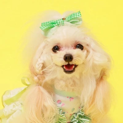 ゴッドピヴァ GODPIVA パステルギンガムバレッタ【小型犬 犬用 ヘアアクセサリー バレッタ セレブ】