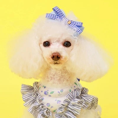ゴッドピヴァ GODPIVA パステルギンガムバレッタ【小型犬 犬用 ヘアアクセサリー バレッタ セレブ】