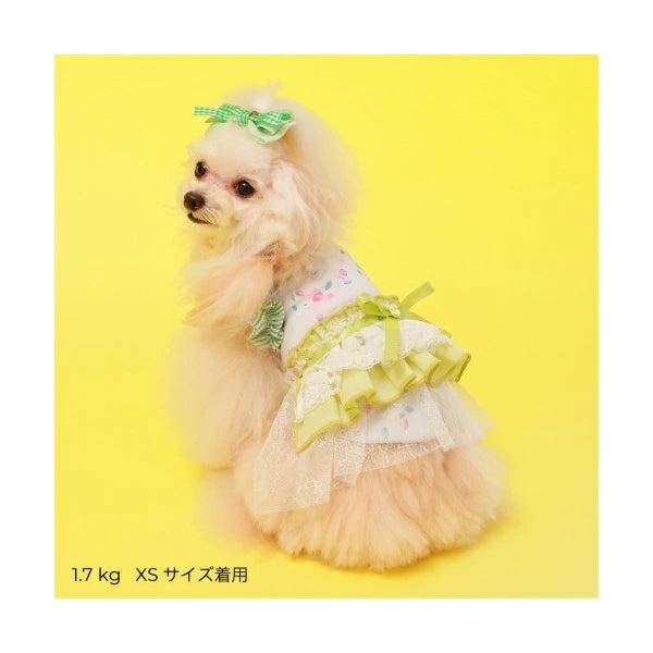 ゴッドピヴァ GODPIVA☆ご予約☆ガーデンフラワータンク※5月下旬より