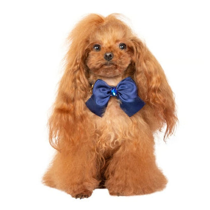 シャーロットドレス Charlotte's Dress Art. f1565N collar Giulietta【小型犬用 犬用 カラー 首輪 セレブ】