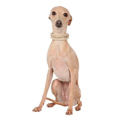 シャーロットドレス Charlotte's Dress Art. f1622N collar Cruz【小型犬用 犬用 カラー 首輪 セレブ】