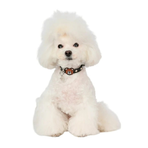 シャーロットドレス Charlotte's Dress Art. f1620N collar Teddy Bear【小型犬用 犬用 カラー 首輪 セレブ】