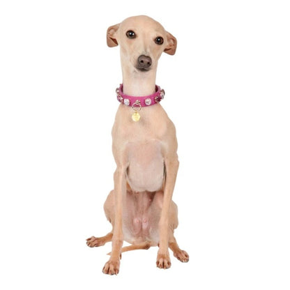シャーロットドレス Charlotte's Dress Art. f1568N collar Darlene【小型犬用 犬用 カラー 首輪 セレブ】