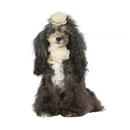 シャーロットドレス Charlotte's Dress Art. f1573N collar Romantic in flower【小型犬用 犬用 カラー 首輪 セレブ】