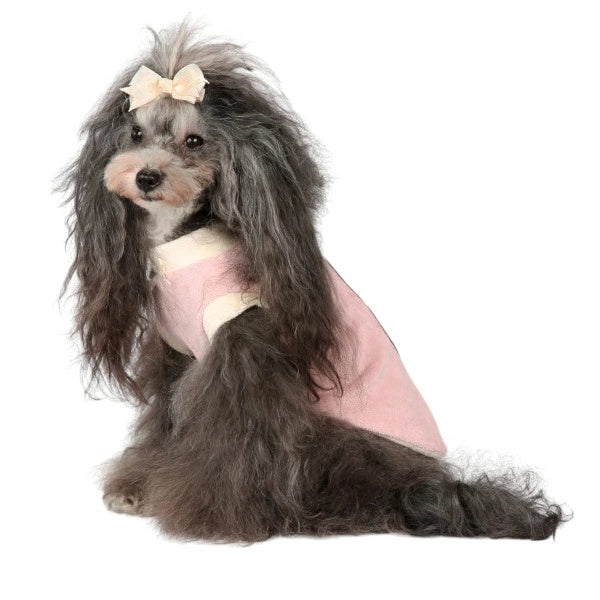シャーロットドレス Charlotte's Dress Art. 3173 sweatshirt Sweet Teddy【小型犬用 犬服 トップス スウェット セレブ】