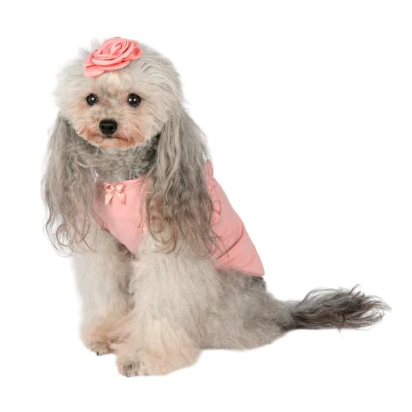 シャーロットドレス Charlotte's Dress Art. 5116 t-shirt June【小型犬用 犬服 トップス Tシャツ セレブ】