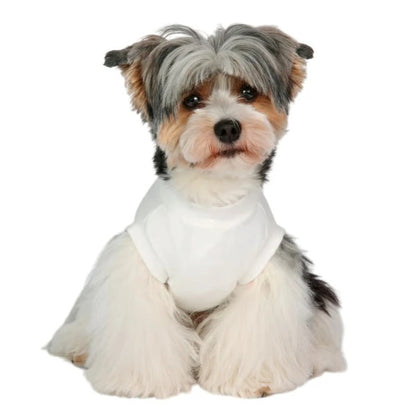 シャーロットドレス Charlotte's Dress Art. 5141 t-shirt I' m your Angel【小型犬用 犬服 トップス Tシャツ セレブ】