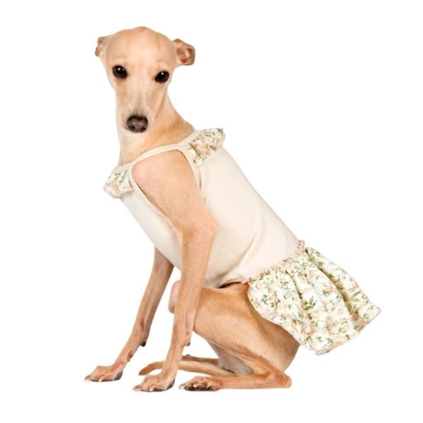 Charlotte's Dress 犬用ドレス S/M シャーロットドレス Charlotte's Dress Art. 2077 dress Fleur【小型犬