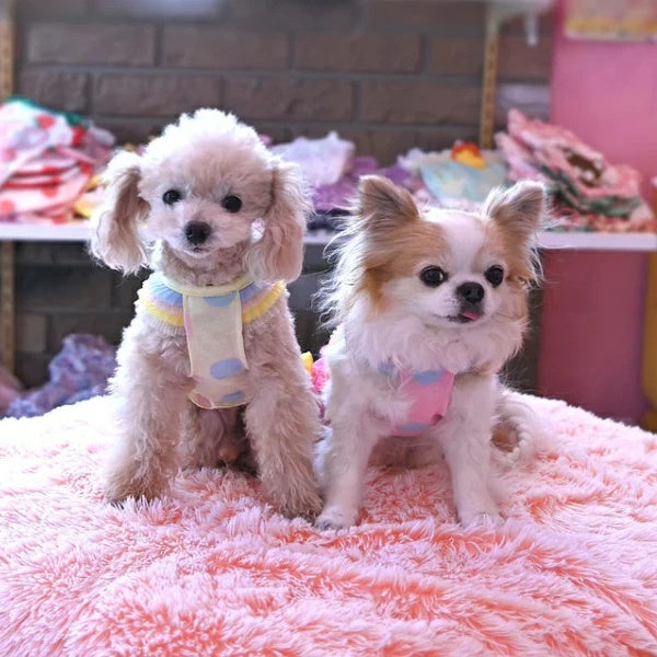 J&Kアニマルズ J&K animals☆予約受付中☆アイスうさぎOP【小型犬 犬服 ワンピース ドレス スカート】