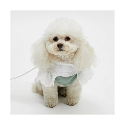 ルイスドッグ louisdog Walk WIth Me/White Bloom【小型犬 犬用 ハーネス リード セット セレブ】