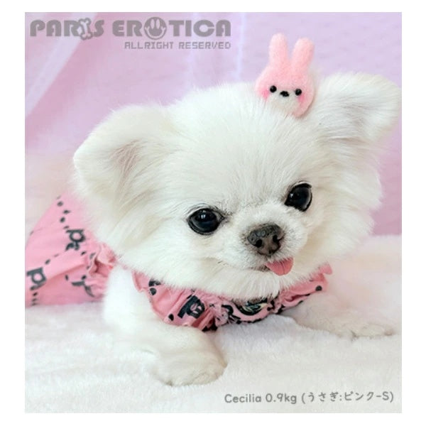 パリエロ PARIERO★受注限定★PARIERO Hair Bow【小型犬 犬用 アクセサリ ヘアクリップ セレブ】