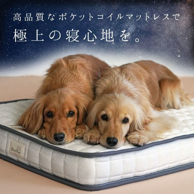 アイドッグ iDog ポケットコイルマットレス コンフォートスリープ 愛犬用95×65cm[17314]【小型犬 犬用 マット セレブ】