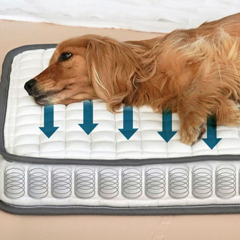 アイドッグ iDog ポケットコイルマットレス コンフォートスリープ 愛犬用95×65cm[17314]【小型犬 犬用 マット セレブ】