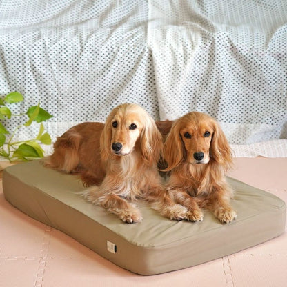 アイドッグ iDog TOGHTEX マットレス専用 防水ワンタッチボックスシーツ アイドッグ[17418]【小型犬 犬用 マット セレブ】