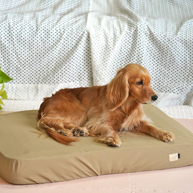 アイドッグ iDog TOGHTEX マットレス専用 防水ワンタッチボックスシーツ アイドッグ[17418]【小型犬 犬用 マット セレブ】