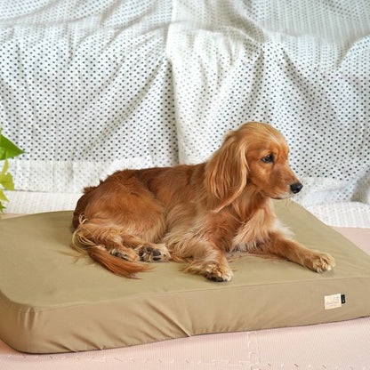 アイドッグ iDog TOGHTEX マットレス専用 防水ワンタッチボックスシーツ アイドッグ[17418]【小型犬 犬用 マット セレブ】