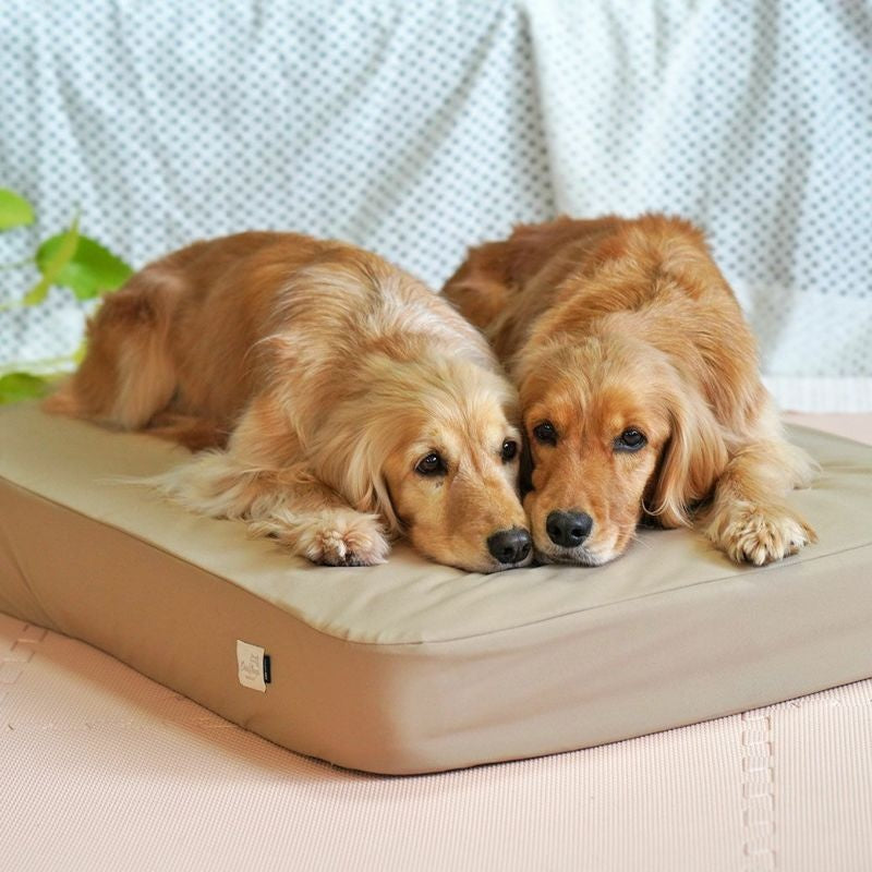 アイドッグ iDog TOGHTEX マットレス専用 防水ワンタッチボックスシーツ アイドッグ[17418]【小型犬 犬用 マット セレブ】
