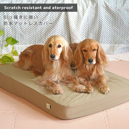 アイドッグ iDog TOGHTEX マットレス専用 防水ワンタッチボックスシーツ アイドッグ[17418]【小型犬 犬用 マット セレブ】