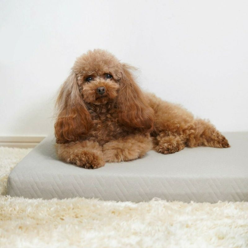 アイドッグ iDog UNAGE エアーメッシュマットレス 防水キルト Mサイズ アイドッグ[17839]【小型犬 犬用 マット セレブ】