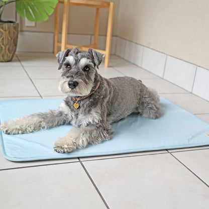 アイドッグ iDog  ひんやり吸熱敷きパッド PCM XLサイズ  アイドッグ[17926]【小型犬 犬用 マット セレブ】