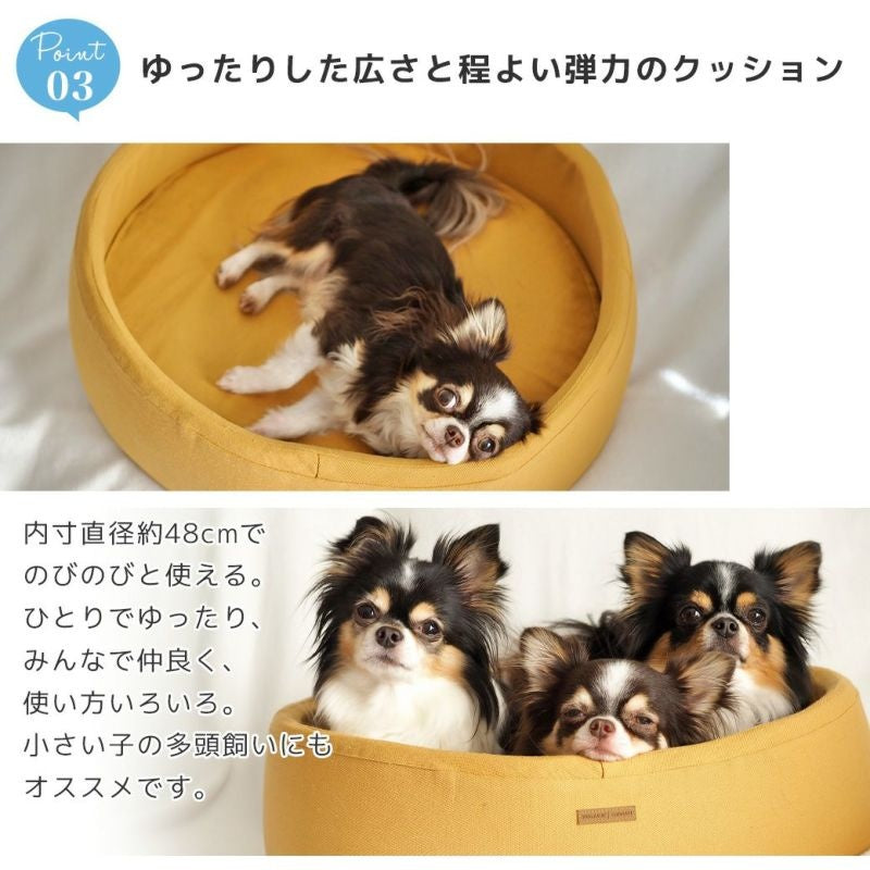 アイドッグ iDog シリンダーベッド アイドッグ[16602]【小型犬 犬用 ソファ ベッド セット セレブ】