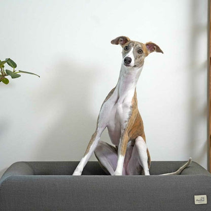 アイドッグ iDog レストキューブベッド Lサイズ アイドッグ[17417]【小型犬 犬用 ソファ ベッド セット セレブ】