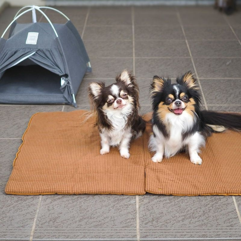 アイドッグ iDog シュラフ 収納ポーチ付き[16970]【小型犬 犬用 セレブ】