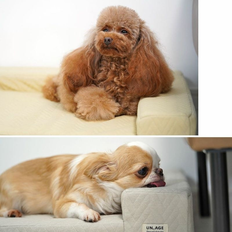 アイドッグ iDog UNAGE アンエイジ 体圧分散シニアローベッド カドラータイプ専用カバー 撥水・防水キルト Sサイズ アイドッグ[17801]【小型犬 犬用 ソファ ベッド セット セレブ】