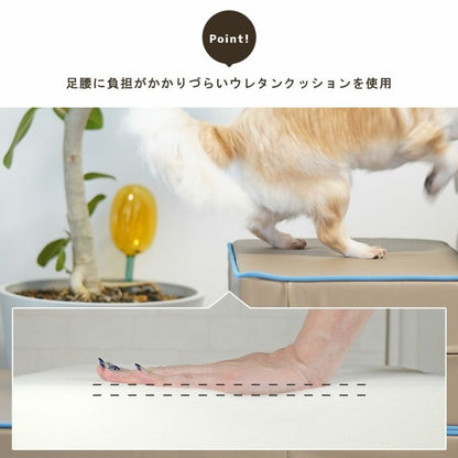 アイドッグ iDog たためるiStep WoofLens 2段 アイドッグ[17321]【小型犬 犬用 ソファ ベッド セット セレブ】