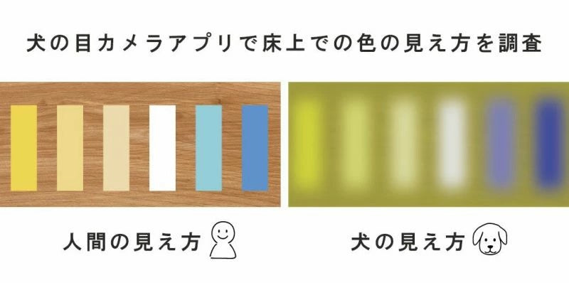 アイドッグ iDog たためるiStep WoofLens 2段 アイドッグ[17321]【小型犬 犬用 ソファ ベッド セット セレブ】