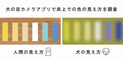 アイドッグ iDog たためるiStep WoofLens 2段 アイドッグ[17321]【小型犬 犬用 ソファ ベッド セット セレブ】