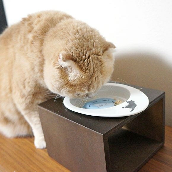 アイドッグ iDog オリジナル ドゥーエッグフードボウル浅皿 猫とみずたまり[BLFA037]【犬 食器 ダイニンググッズ フードボウル】