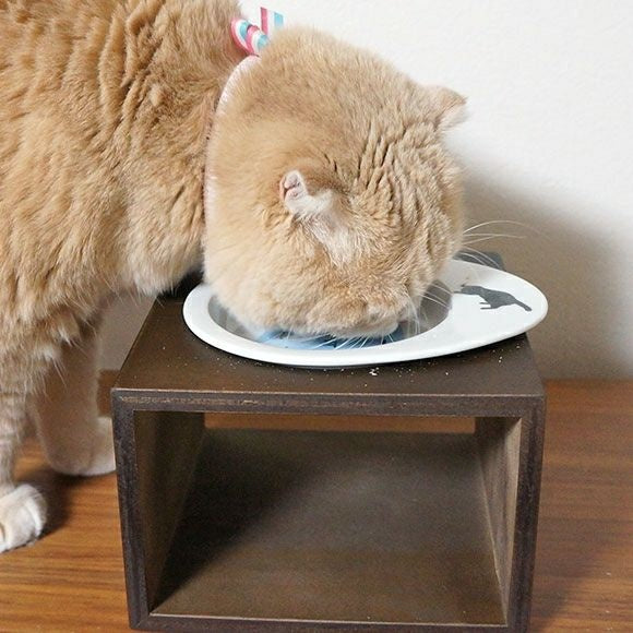 アイドッグ iDog Living Keat キートスクエア1 Lサイズ フードボウル別売[LI039L]【犬 食器 ダイニンググッズ フードボウル】