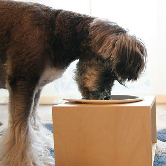 アイドッグ iDog Living Keat キートスクエア1 Lサイズ フードボウル別売[LI039L]【犬 食器 ダイニンググッズ フードボウル】