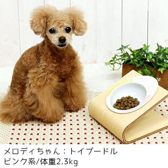 アイドッグ iDog ドゥーエッグフードボウル スマイルランチ[BLFA038]【犬 食器 ダイニンググッズ フードボウル】