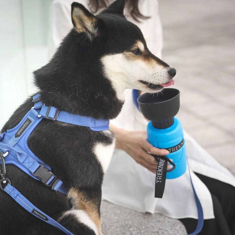 アイドッグ iDog TREKNINE FOLDABLE PET WATER BOTTLE 折りたたみ式給水ボトル トレックナイン アイドッグ[17648]【犬 食器 ダイニンググッズ フードボウル】